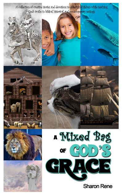 A Mixed Bag of God's Grace_5x8_FRONT